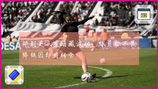 热刺更衣室暗藏波动，球员称不畏降级因即将转会