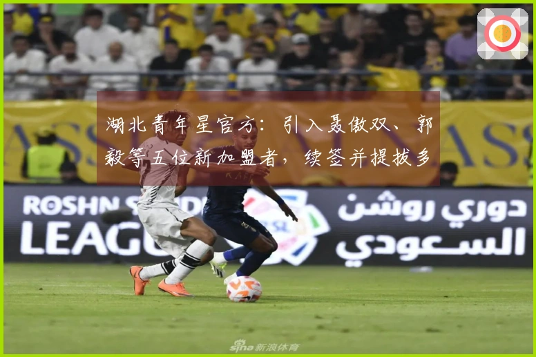 湖北青年星官方：引入聂傲双、郭毅等五位新加盟者，续签并提拔多名年轻球员