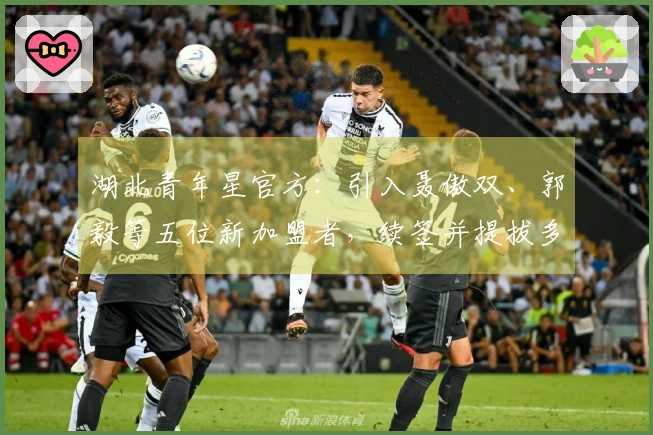 湖北青年星官方：引入聂傲双、郭毅等五位新加盟者，续签并提拔多名年轻球员